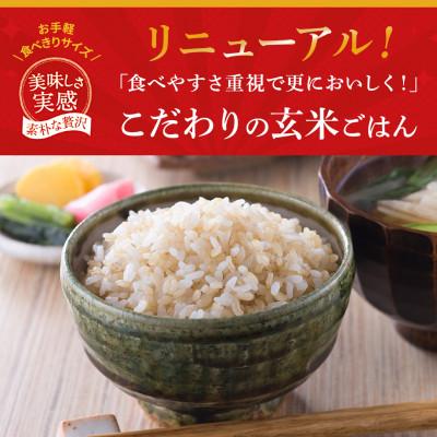 ふるさと納税 松原市 米匠庵 こだわりの玄米ご飯 120g×12個 コシヒカリ使用 無菌パック 常温保存 大阪府松原市 |  | 01