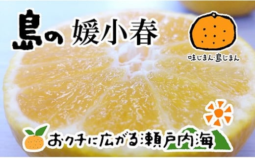 【2026年3月上旬から発送予定】希望の島 媛小春 2kg 愛媛 中島産