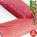 【ふるさと納税】天然南マグロ中トロ200g赤身200g　鮪 南マグロ 中トロ 赤身 刺身 まぐろ丼 冷凍