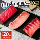 【ふるさと納税】 定期便 まぐろ 魚 冷凍 焼津 南鮪 大トロ 中トロ 赤身 まぐろたたき 切り落とし 計約2kg 【定期便10回】 天然南鮪1本分 刺身に 海鮮丼に b65-003