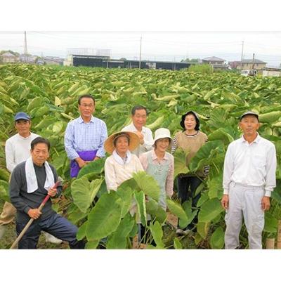 ふるさと納税 天理市 大和ひみこ味噌(1kg×2) |  | 02