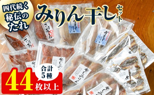 四代続く 秘伝のたれ みりん 干し セット （合計5種・44枚以上） アジ サバ カマス 鯵 鯖 魚 国産 おかず 惣菜 セット 詰め合わせ 簡単 調理 小分け 個包装 海鮮 【opaz001】【田辺海産】