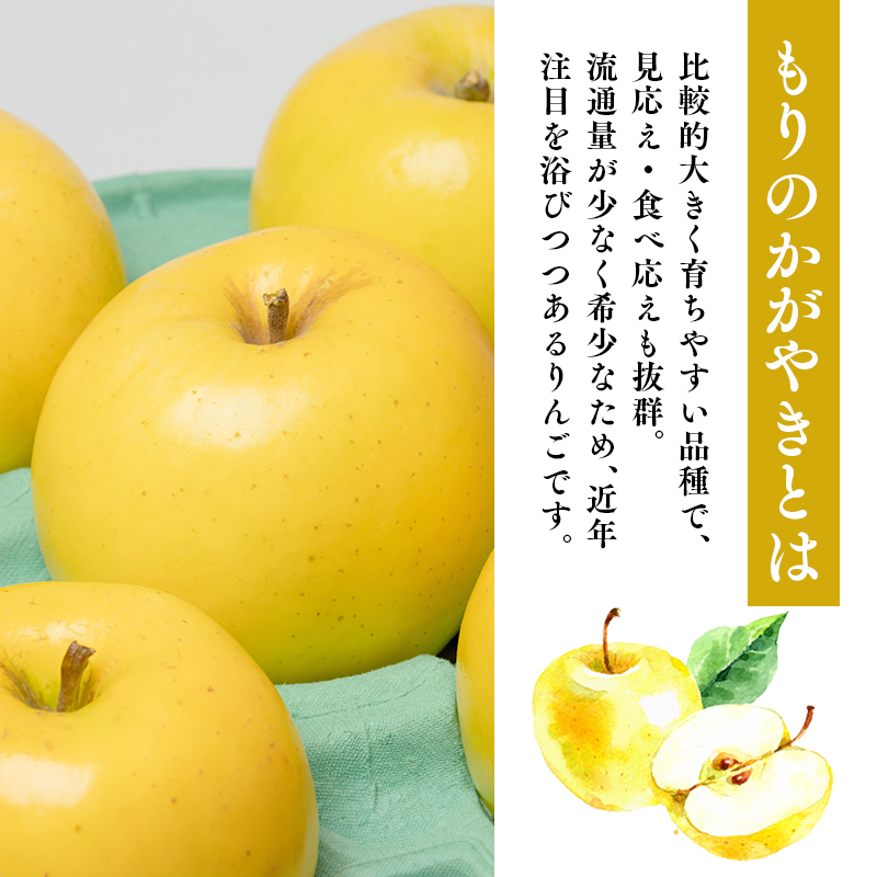 年明け発送【訳あり】家庭用 もりのかがやき 約5kg【那由多のりんご園・平川市産・希少品種】