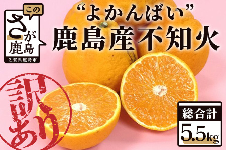 【訳アリ・お届け期日指定不可】 ”よかんばい”鹿島産不知火 約5.5kg（箱込み：配送における傷み保証含む） A-137