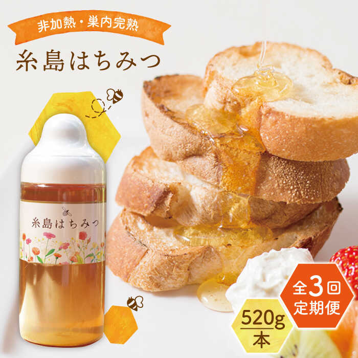 【ふるさと納税】【全3回定期便】糸島 はちみつ 520g 糸島市 / ヴァンベールフーズ /百花 / 蜂蜜 [AFJ005]5万2千円52000円