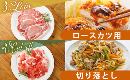 宮崎県産豚肉5kgセット_AC-M601_(都城市) 宮崎県産豚肉 5kgセット ローススライス バラスライス ロースカツ用 切り落とし ミンチ