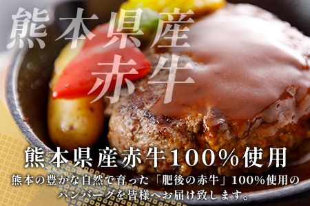 【定期便3回】熊本 赤牛 ハンバーグ 150ｇ×10個 ×3回配送 熊本県産 あかうし 和牛 牛肉 国産 牛 ハンバーグ 惣菜 お弁当 BBQ アウトドア グルメ 121-0602