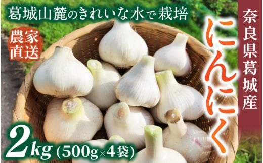 奈良県葛城産 にんにく 約2kg(500g×4袋)  【2026年5月上旬～7月下旬順次発送】／ スマイル葛城農業 大和野菜  にんにく 農家直送 産直 新鮮 旬 名産 健康 美容 栄養 奈良県 葛城