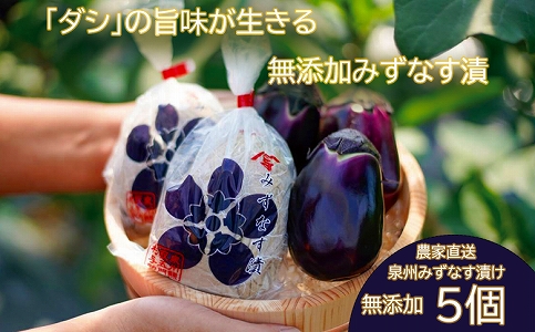 水なす漬け5個セット