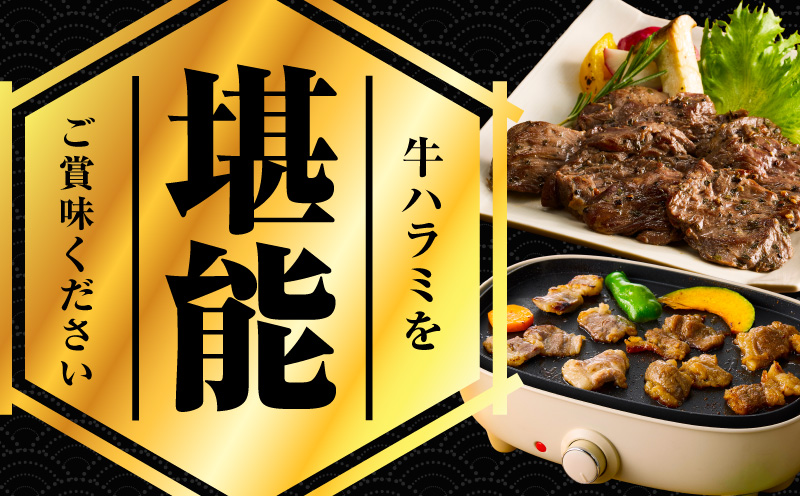 【満足牛ハラミ】オリジナルスパイス仕込み 合計3kg 【味付け ハラミ 小分け 焼くだけ 簡単調理 BBQ 牛肉 250g×12P】 G3409