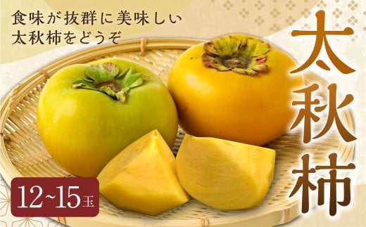【先行予約】 渡辺農園 太秋柿 12玉から15玉 【2025年10月中旬から10月下旬 出荷予定】 柿 かき カキ 太秋 たいしゅう 完全甘柿 果物 くだもの フルーツ 果実 ジューシー お取り寄せ 