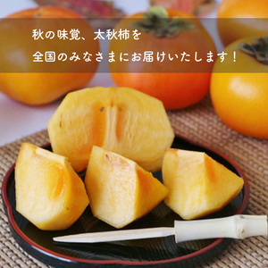 太秋柿 3.5kg 箱入り | 果物 くだもの フルーツ 柿 太秋 旬 秋 味覚 熊本県 玉名市