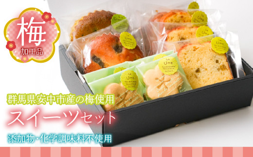 梅加工品【スイーツセット】 ANBF002