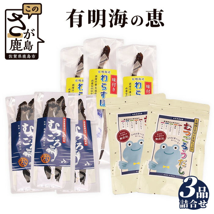 【ふるさと納税】有明海の恵3品 （ 丸干し むつごろう 2匹入×2袋・味付き わらすぼ 1匹入×3袋・むつごろう出汁 45g×2袋）ムツゴロウ ワラスボ おやつ おつまみ 温め不要 調理不要 有明海産 ご当地 特産品 詰め合わせ 珍味 佐賀県 鹿島市 佐賀 グルメ 送料無料 B-450