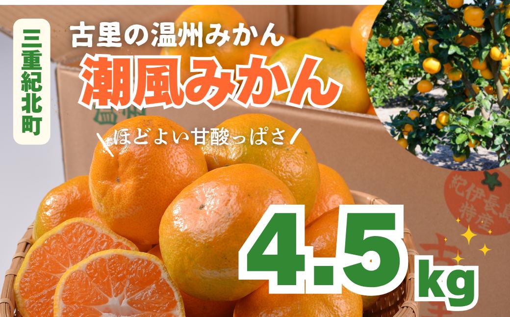 
            古里の温州みかん「潮風みかん」4.5㎏〈かきうち園芸〉【KE12】
          