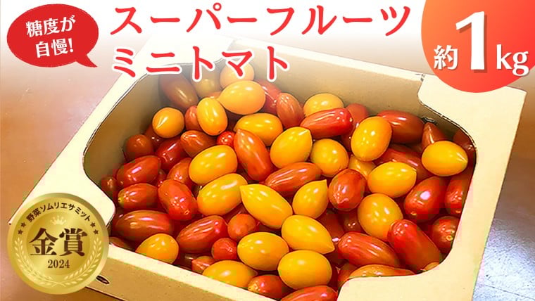 
            スーパーフルーツミニトマト 約1kg 2026年産 野菜 フルーツトマト フルーツ トマト とまと [AF096ci]
          