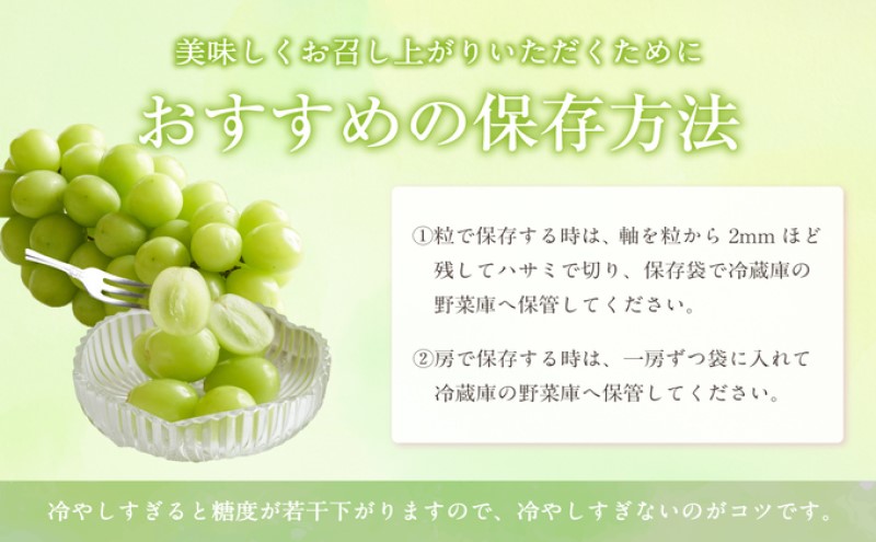 フルーツ 定期便 【2025年 先行予約】 晴れの国 おかやま の 白桃 2kg(5玉～7玉) シャインマスカット 4房(合計2.8kg以上) 岡山県産 国産 セット ギフト