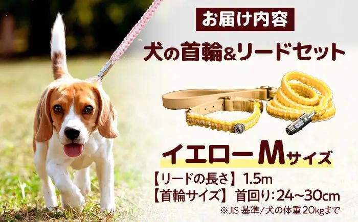 ペット 犬の首輪＆リードセット イエロー M ペット BLBX010