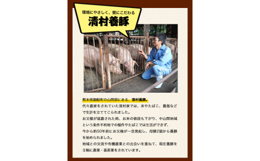 ワイルド塊BBQセット 計1450g 清村養豚 《30日以内に出荷予定(土日祝除く)》  熊本県 御船町 豚 肉 冷凍 小分け カタ モモ バラ_イメージ3