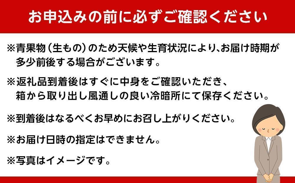 和歌山県産 糖度 9.5度以上 訳あり みかん 7kg 傷み補償+200g 3S ～ 2Lサイズ混合［MG58］
