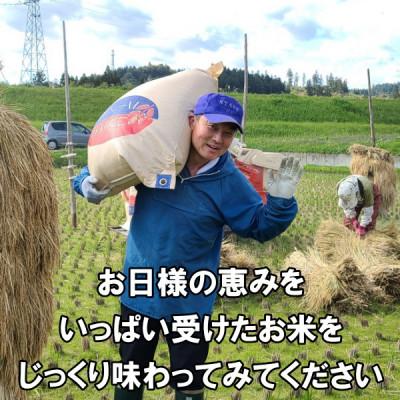 ふるさと納税 奥州市 玄米 天日干し ひとめぼれ 米 12kg(6kg×2) 岩手県奥州市 令和6年産米 [AC050] |  | 03