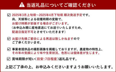 雑誌「MORE」掲載商品 不知火 訳あり品 5kg 15～20玉【松川果樹園】【2025年3月上旬から4月下旬発送予定】しらぬい 柑橘