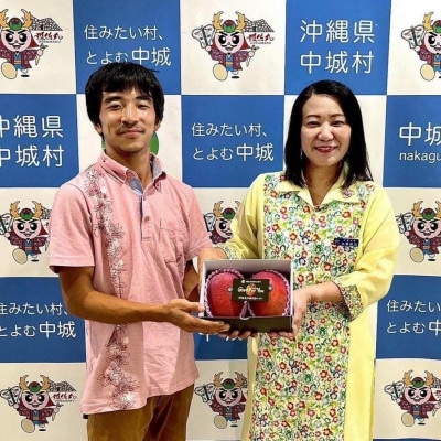 【2026年6月下旬から順次発送】マルトウマンゴーの家庭用アップルマンゴー1kg【配送不可地域：離島】