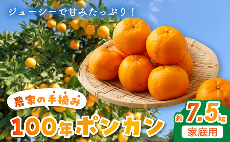 S040-009A_農家の手摘み100年ポンカン 約7.5kg 家庭用〈先行受付〉