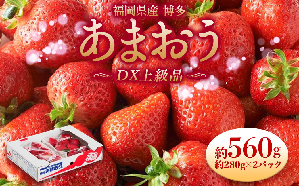 福岡県産 博多あまおう DX上級品 約560g（約280g×2パック入り）イチゴ  苺 【2026年12月上旬～2027年1月上旬発送予定】