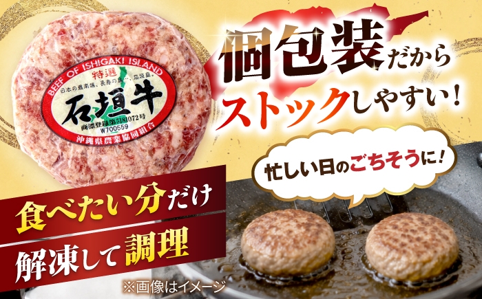 個包装 沖縄県産 石垣牛 ハンバーグ  はんばーぐ 国産 牛 ハンバーグ はんばーぐ 石垣牛ハンバーグ 冷凍 ギフト お取り寄せ