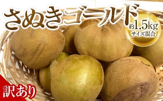 【10月中旬頃～発送】訳あり さぬきゴールド キウイ 約1.5kg キウイフルーツ