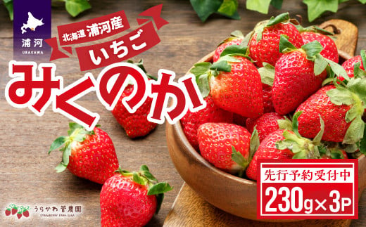 
            【先行予約受付中】北海道浦河産いちご「みくのか」230g×3P[13-1430]
          