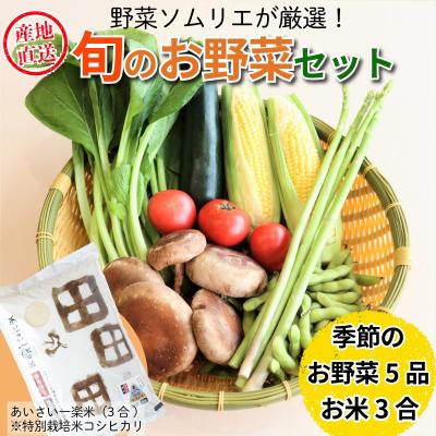 ふるさと納税 小松島市 エシカル野菜5種とお米のセット 野菜 米 新鮮 採れたて 産地直送