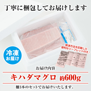 【数量限定】串木野水揚げ天然まぐろ！キハダマグロ(約600g・柵で3本) 赤身！ 鮪丼や鉄火巻などにオススメ♪【A-1650H】