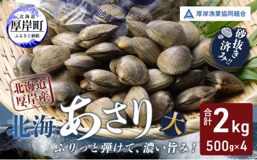 
                  あさり【4月～6月発送】北海道 厚岸町産 天然 殻あさり(大) 500g×4　【厚岸漁業協同組合】[ アサリ 貝 味噌汁 酒蒸し 混ぜご飯 ] 
                
