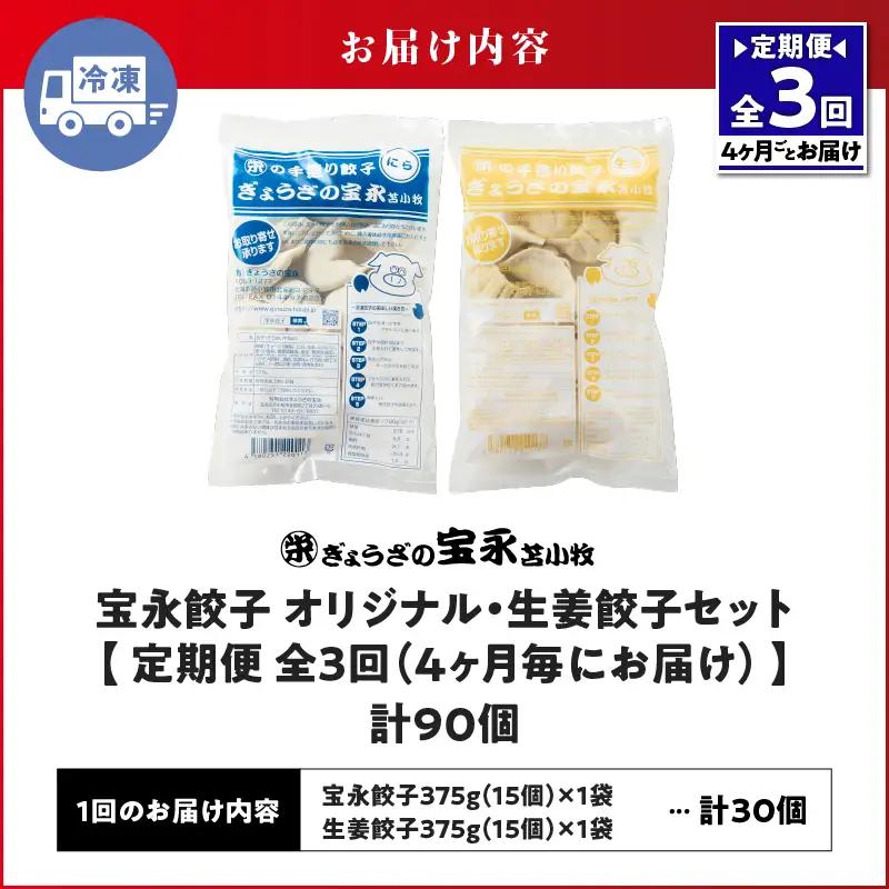 【定期便・全3回 4ヶ月毎】手包み餃子 ぎょうざの宝永 生姜餃子30個セット（宝永餃子15個入×1袋・生姜餃子15個入×1袋） T004-T05-01-01 定期便 定期 惣菜 総菜 餃子