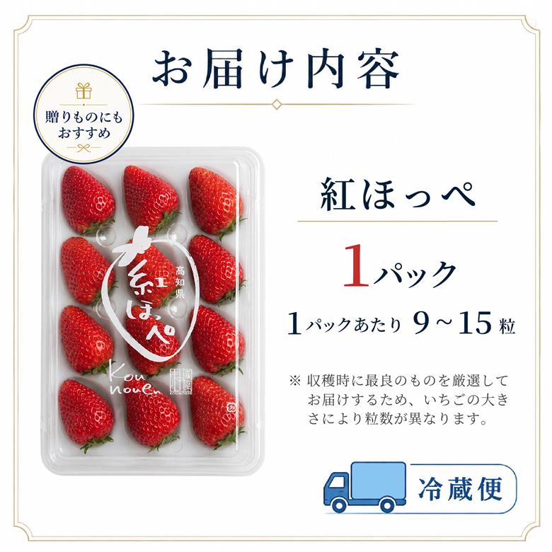 先行予約 いちご 苺 紅ほっぺ 贈答品 1パック：9～15粒 （2027年1月発送開始） | さちのか あきひめ 高級 厳選 こだわり 贅沢 贈り物 ギフト プレゼント 限定 お取り寄せ 旬 甘い 大粒 高糖度 産地直送 期間限定 高知県 南国市