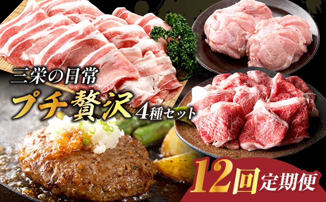 
            三栄の日常プチ贅沢セット（12回定期便） 999-J893
          