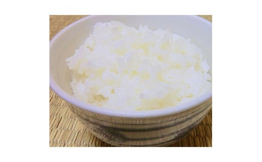 伊勢ひかり 5kg お米 白米 精米 米 おすすめ 国産 朝ごはん 朝食 晩ごはん ご飯 夕食 三重県 志摩市 伊勢 志摩 伊勢奉祝 奇跡のお米 イセヒカリ 5キロ こめ コメ おこめ