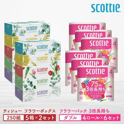 ふるさと納税 八代市 【スコッティ】 ティシュー 5箱P×2セット+トイレット 4ロール(ダブル)P×6セット