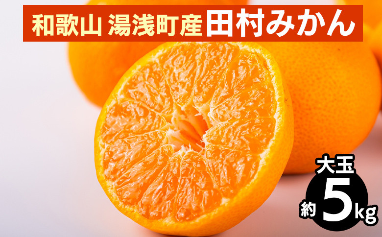 
            和歌山 湯浅町産 田村みかん 5kg【大玉】 ※2025年11月中旬～2026年1月中旬頃に順次発送予定
          