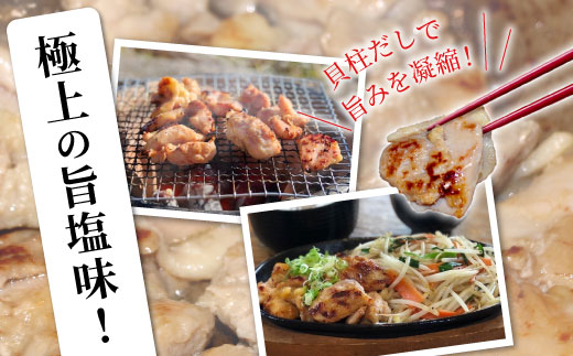 奥三河どり使用！ 田口塩鶏 味付け むね肉 600g (300g×２）塩ダレ 味付け肉 ムネ肉 鶏 肉 キャンプ バーベキュー 味付け肉 大容量 手軽 焼くだけ 地鶏 焼肉 焼き鳥　-175