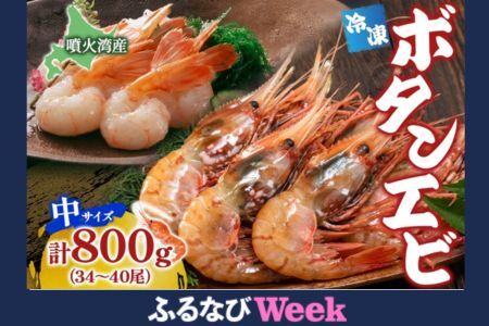 【ふるなびWEEK対象】北海道 噴火湾産 冷凍ボタンエビ 中サイズ 計800g 34～40尾 ボタンエビ エビ えび 海老 北海道産 旬 ぼたんえび 刺身 牡丹海老 海鮮 魚介 甲殻類 味噌汁 鍋 海鮮丼 冷凍 洞爺湖町 FN-Limited-PR