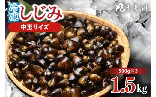 
            しじみ 冷凍 中玉 1.5kg（500ｇ×3）砂抜き済み 涸沼川 う女川【シジミ オルニチン ミネラル ビタミンB12 出汁 肝臓 味噌汁 スープ 茨城県 水戸市】（IX-115）
          