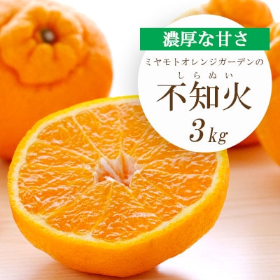 【2026年2月以降発送】デコポンと同品種 濃厚柑橘 不知火(しらぬい) 3kg【C25−203】【1612369】
