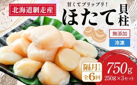 【全6回（隔月）】網走前浜産 無添加ホタテ貝柱750g（250g×3袋）（2025年8月より順次発送）【 ホタテ ほたて 帆立 貝柱 ホタテ貝柱 ほたて貝柱 帆立貝柱 刺身 ホタテ刺身 刺身ホタテ ほたて刺身 刺身ほたて 帆立刺身 北海道 国産 北海道産 魚介 魚介類 海鮮 小分け 天然 定期便 送料無料 人気 ランキング おすすめ 】 ABAI036