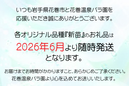 ＜予約受付＞2026年6月より発送　花巻温泉バラ園 オリジナル品種「ミラクルローズ90」　新苗　【1999】