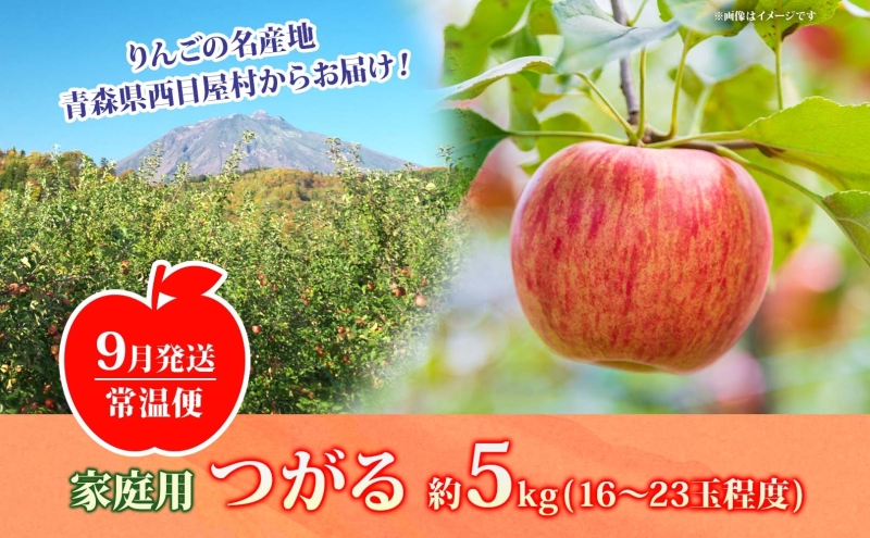 【9月発送】家庭用 つがる 約5kg【西目屋村産・青森りんご】 りんご 林檎 リンゴ 果物 フルーツ くだもの 旬 青森県産 お取り寄せ 詰め合わせ セット 常温 産地直送 送料無料 青森県 西目屋村