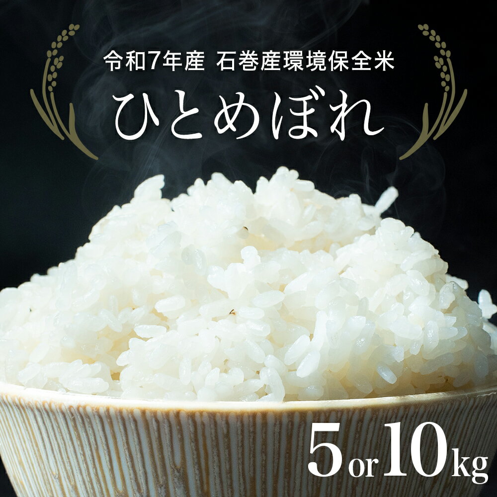 【ふるさと納税】《 選べる内容量 》石巻市 令和7年産 ひとめぼれ 5kg - 10kg 精米 環境保全米 米 お米 白米 主食 ご飯 ライス 家庭用 宮城県 石巻市 宮城 石巻