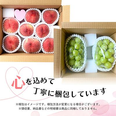 ふるさと納税 笛吹市 【発送月固定定期便】山梨の美味しい果物 桃・シャインマスカット全2回 |  | 03